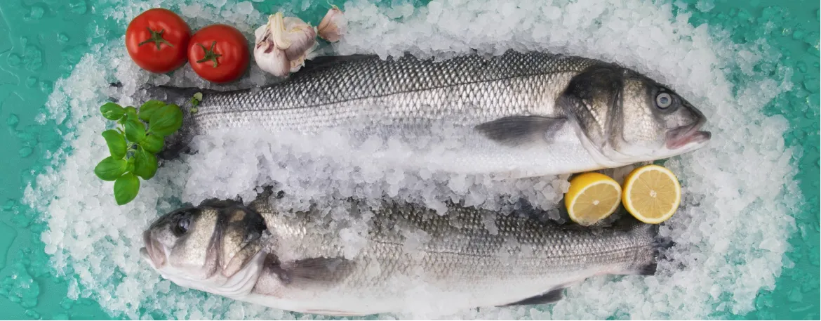 Ledo generatoriai „Brema“