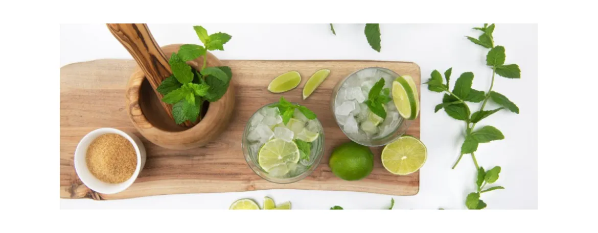 Ledo generatoriai „Brema“