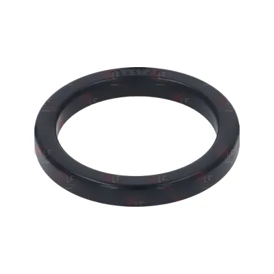 Group Head Gasket Ø 73x57x9 mm